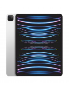 iPad Pro 13" M4